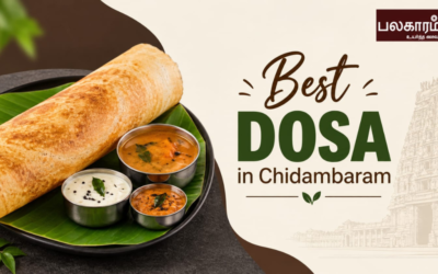 Best Dosa in Chidambaram: 5 Places to Try