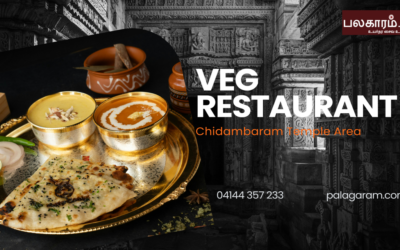 Veg Restaurant Chidambaram Temple Area: Top Picks